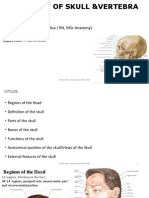 Osteology of Skull & Vertebral Column