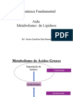 Aula 11 Metabolismo de Lipideos