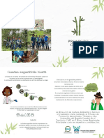 Proyecto Guadua: Guadua Angustifolia Kunth en Cundinamarca