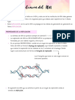 Replicación del ADN: proceso, enzimas y propiedades