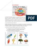 Recojo de Datos y Análisis de Información