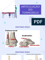 Articulação DO Tornozelo