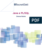 Sviluppo in Java e PL SQL