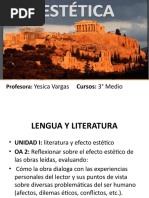 La Estética y El Efecto Estético