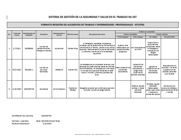 Sistema de Gestión de La Seguridad Y Salud en El Trabajo SG-SST | PDF