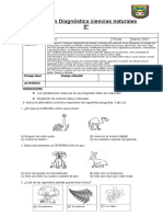 CIENCIAS - PRUEBA - de Diagnóstico