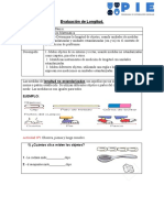 Prueba de Longuitud 5to Básico