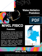 Vision Holistica Postobon