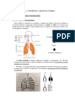 Tema 3: Fonética Articulatoria: 3.1. Conceptos Generales e Instrumentales