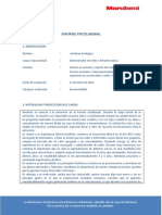 Informe psicolaboral candidato red