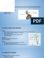 Deltoide PDF