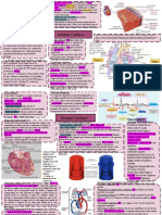 Sistema Cardíaco