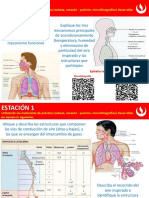 Utilizando Los Materiales de Práctica (Cabeza, Corazón - Pulmón, Microfotografías) Desarrollar en Equipo Lo Siguiente