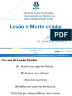 Lesão e Morte Celular: Faculdade de Saúde de Paulista Curso: Bacharelado em Optometria Disciplina: Fisiopatologia Geral