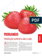 Produção de morangos cresce 46% em 6 anos e Brasil se destaca como maior produtor da América do Sul