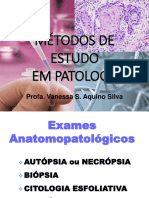 Métodos de estudo em Patologia