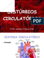 Distúrbios Circulatórios: Profa. Vanessa S Aquino Silva