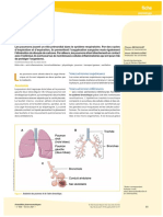 Anatomie