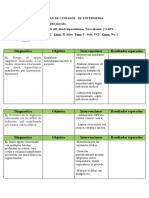 Plan de Cuidados de Enfermeria Uci