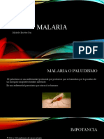 Malaria: Michelle Escobar Paz