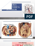 ARTERIA MESENTERICA SUPERIOR-expo