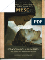 PEDAGOGIA_DEL_SUFRIMIENTO_Ministros_Extraordinarios_de_La_Sagrada