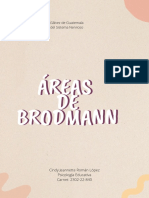 Áreas de Brodmann: localización y funciones