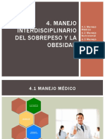 Manejo integral obesidad