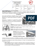 Guia 3 de C.N.N. III Bim.