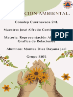 Proteccion Ambiental