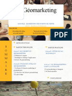 Le Géomarketing: Module: Marketing Des Points de Vente