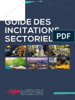 Guide Des Incitations Sectorielles