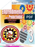 Instituto Tecnológico Privado Urbano Mixto "Ferdinand Lassalle Emprendimiento para La Productividad Tercero Básico