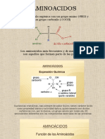 AMINOACIDOS