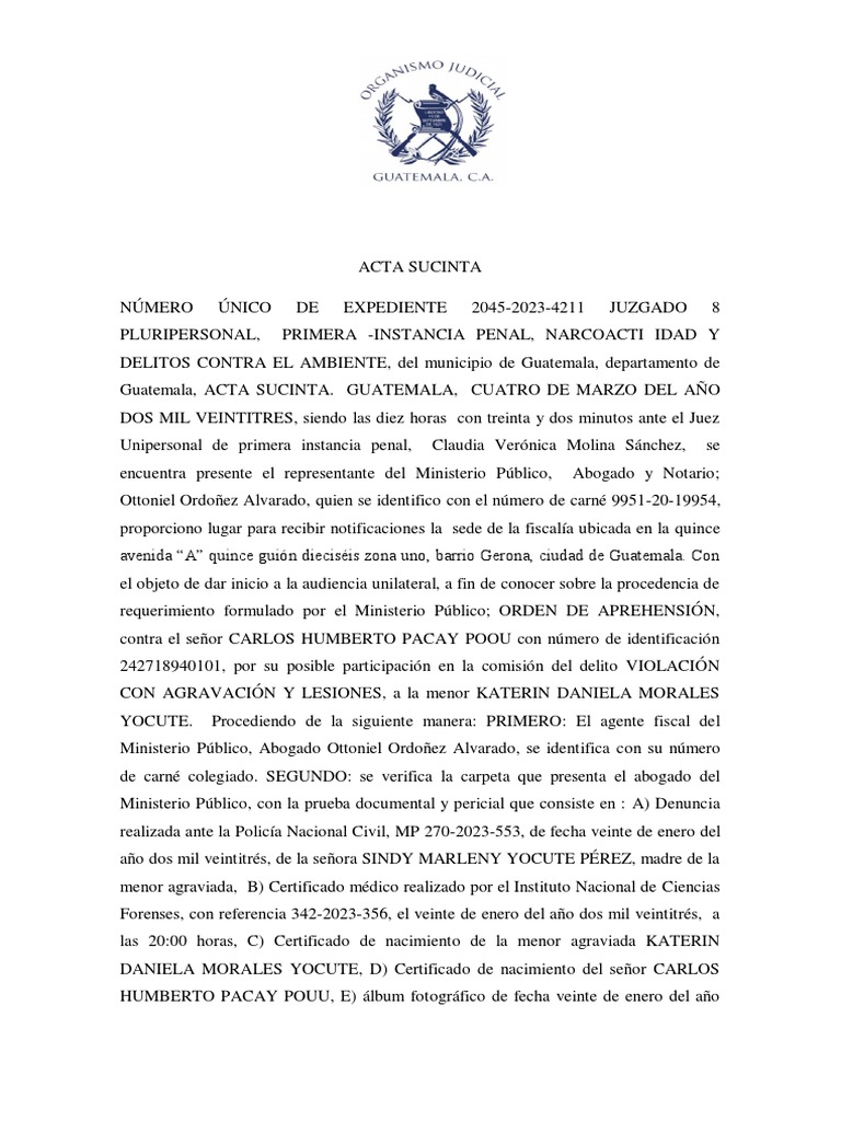 Acta Sucinta | PDF | Justicia | Crimen y violencia