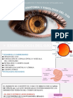 Unidad I Fundamentos Y Principios en Oftalmologia: Dra. A Grissel Prado V