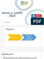 Metas e IAAPS 2023: EU Rodrigo Tejo Jara