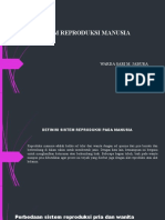 Sistem Reproduksi Manusia: Warda Sari M. Jabura