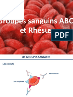 Groupes Sanguins ABO Et Rhésus