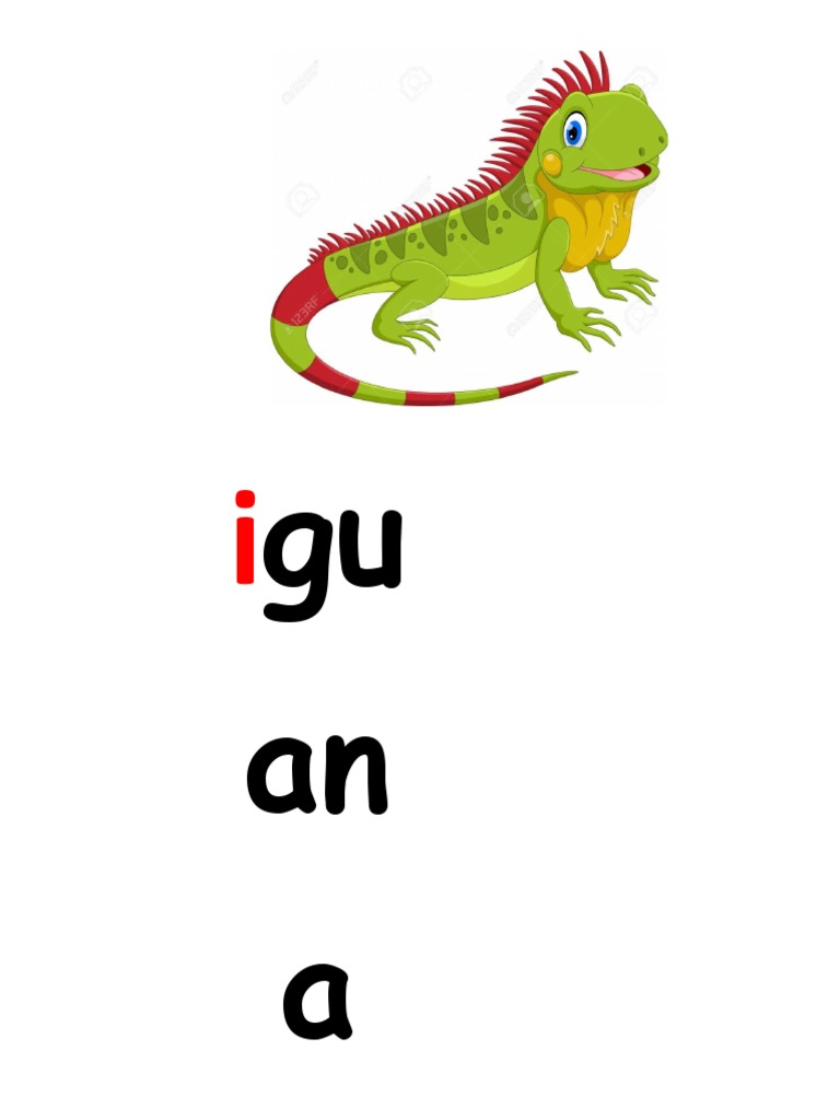 Iguana | PDF