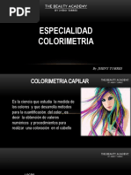 Aplicación y Fórmulas Tinte Color Tech | PDF | Color | Procesamiento de ...