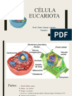 Célula Eucariota: Prof. Edar Osmar Aquino Ventura