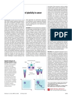 Epigenetics As A Mediator of Plasticity in Cancer: Review Summary