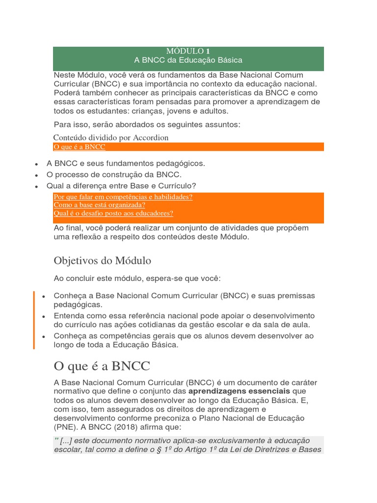 Fundamentos da BNCC na Educação Básica | PDF | Pedagogia | Aprendizado