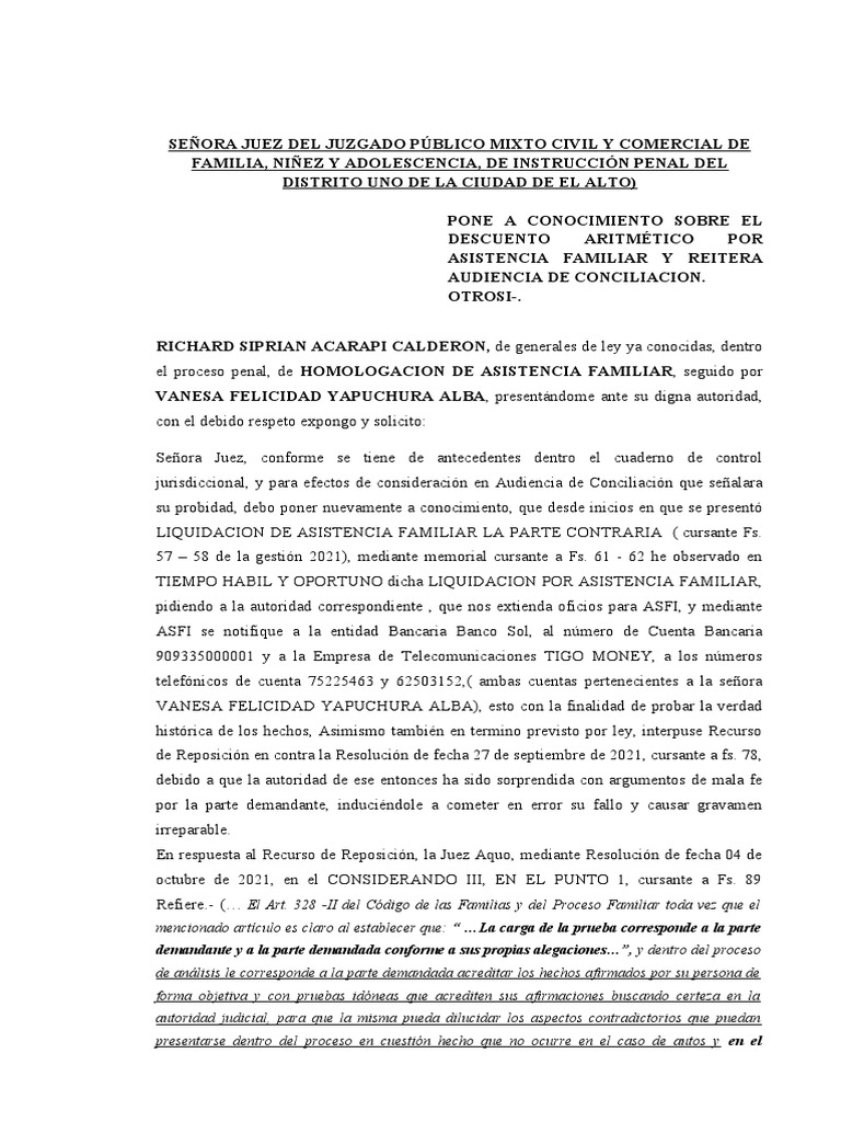 Solicitud De Audiencia Pdf Judicaturas Justicia