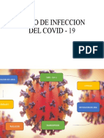 Ciclo de Infeccion Del Covid - 19