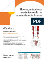 Estructura Física Del Cuerpo