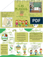 LAS Plantas: Proyecto Del Herbario