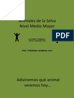 Animales de la selva (León) - Medio Menor