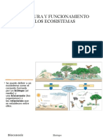 Estructura y Funcionamiento de Los Ecosistemas